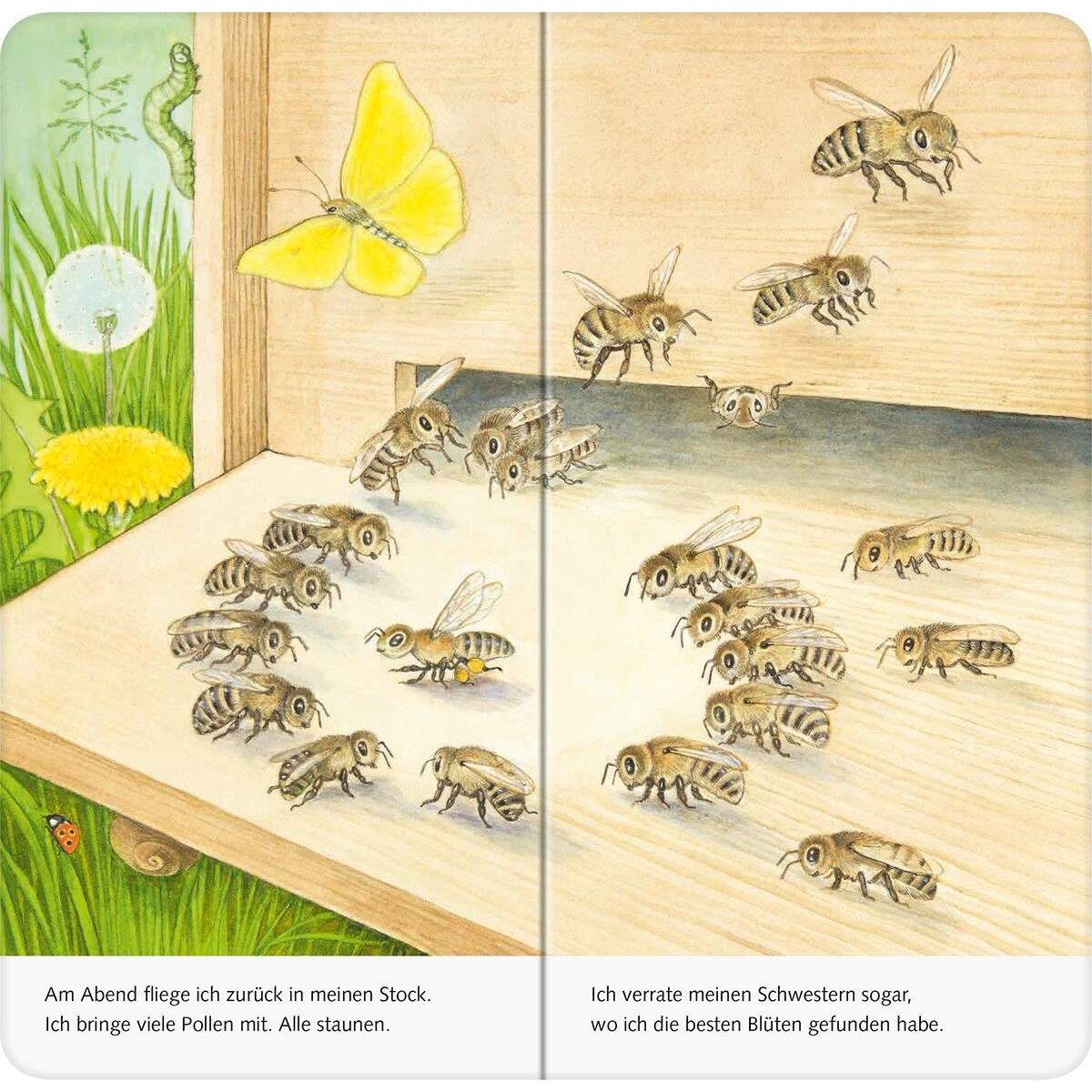 Ravensburger Mein Naturstart - Ich bin die kleine Biene