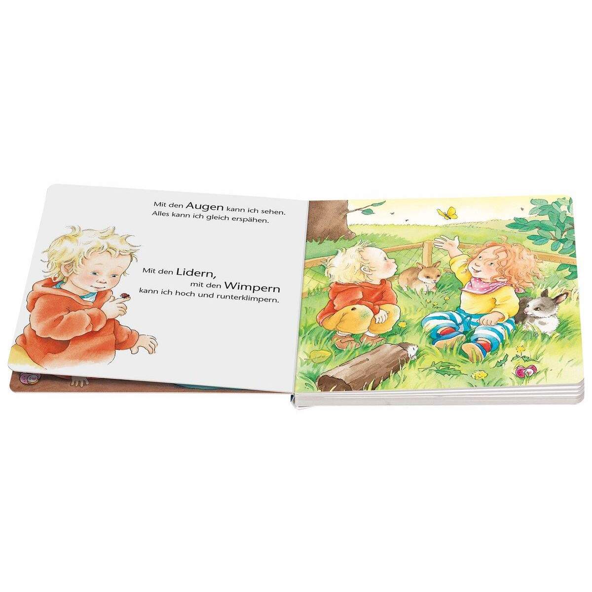 Ravensburger ministeps Augen, Bauch und Hände: Mein erstes Körperbuch