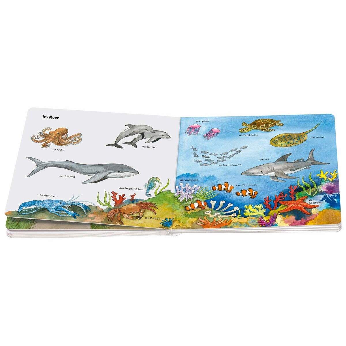 Ravensburger ministeps Mein allererstes Tierlexikon