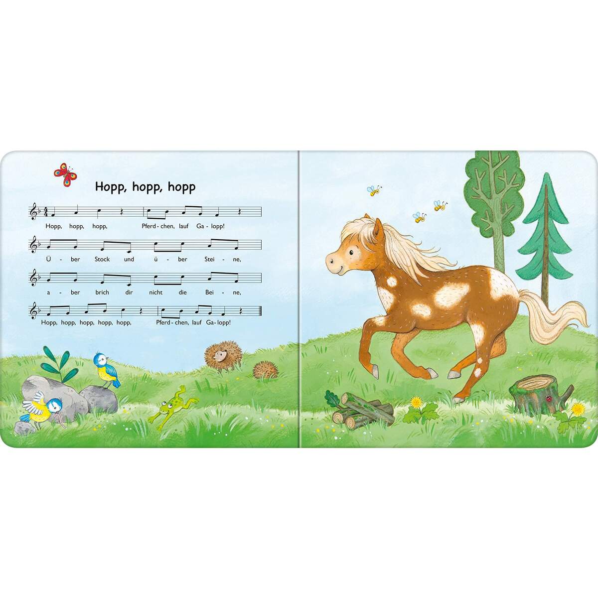 Ravensburger Pappbilderbuch - Bild für Bild singen wir Kinderlieder