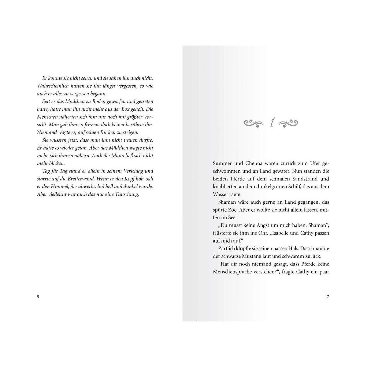 Ravensburger Pferdeflüsterer-Academy, Band 5: Zerbrechliche Träume