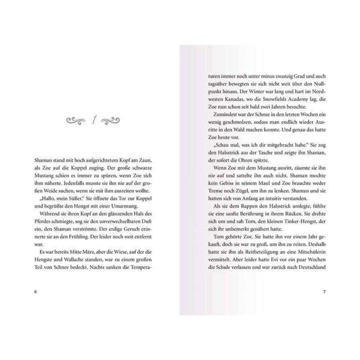 Ravensburger Pferdeflüsterer-Academy, Band 9: Cyprians Rückkehr