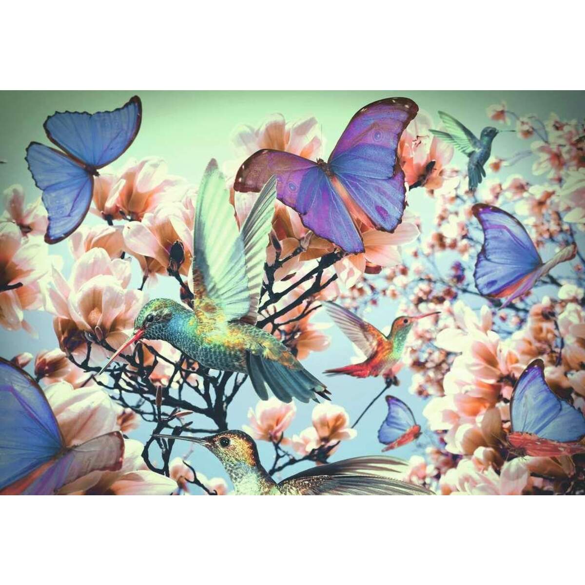 Ravensburger Puzzle Hummingbird 300 Teile