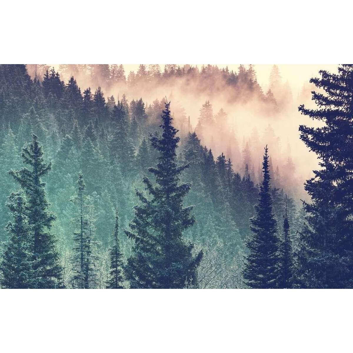 Ravensburger Puzzle Wood 200 Teile