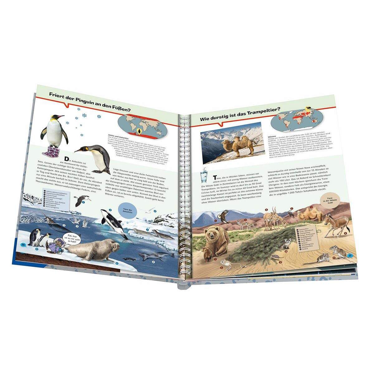 Ravensburger Wieso? Weshalb? Warum? ProfiWissen, 3 - Tiere