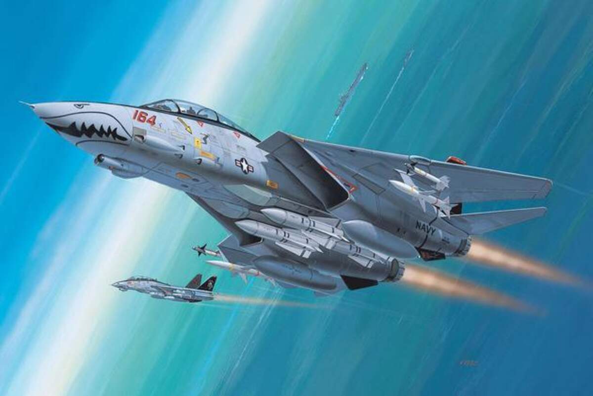 Revell F-14D Super Tomcat