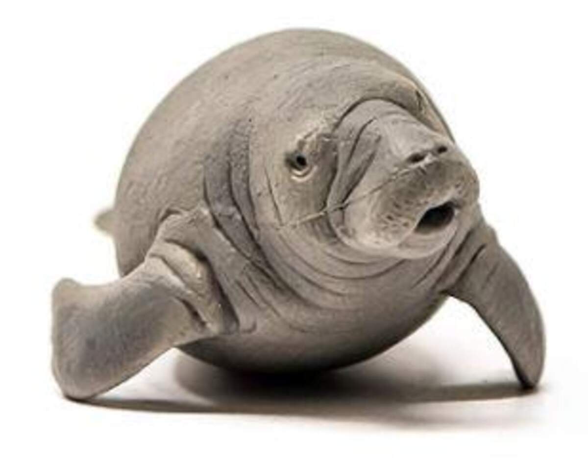 Schleich® 14839 Wild Life Seekuh