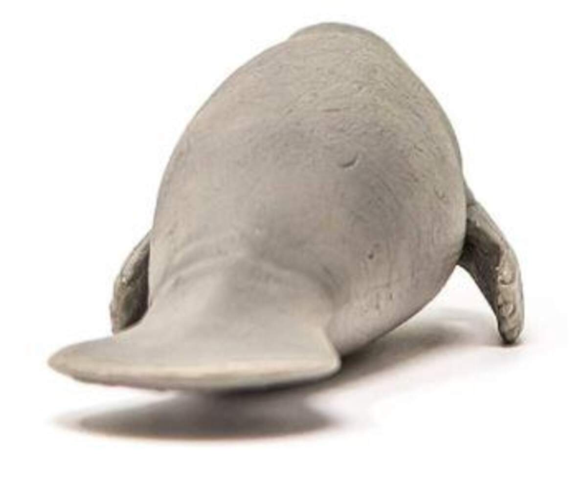 Schleich® 14839 Wild Life Seekuh