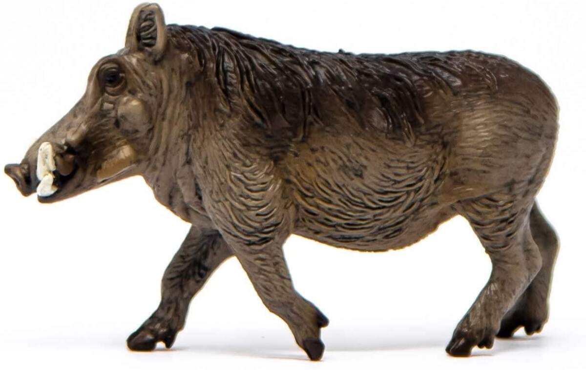 Schleich® 14843 Wild Life Warzenschwein