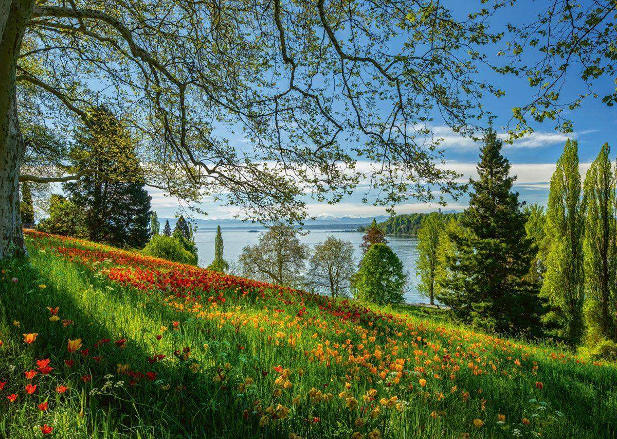 Schmidt Spiele Puzzle - Frühlingsallee zur Tulpenblüte, Insel Mainau, 1000 Teile