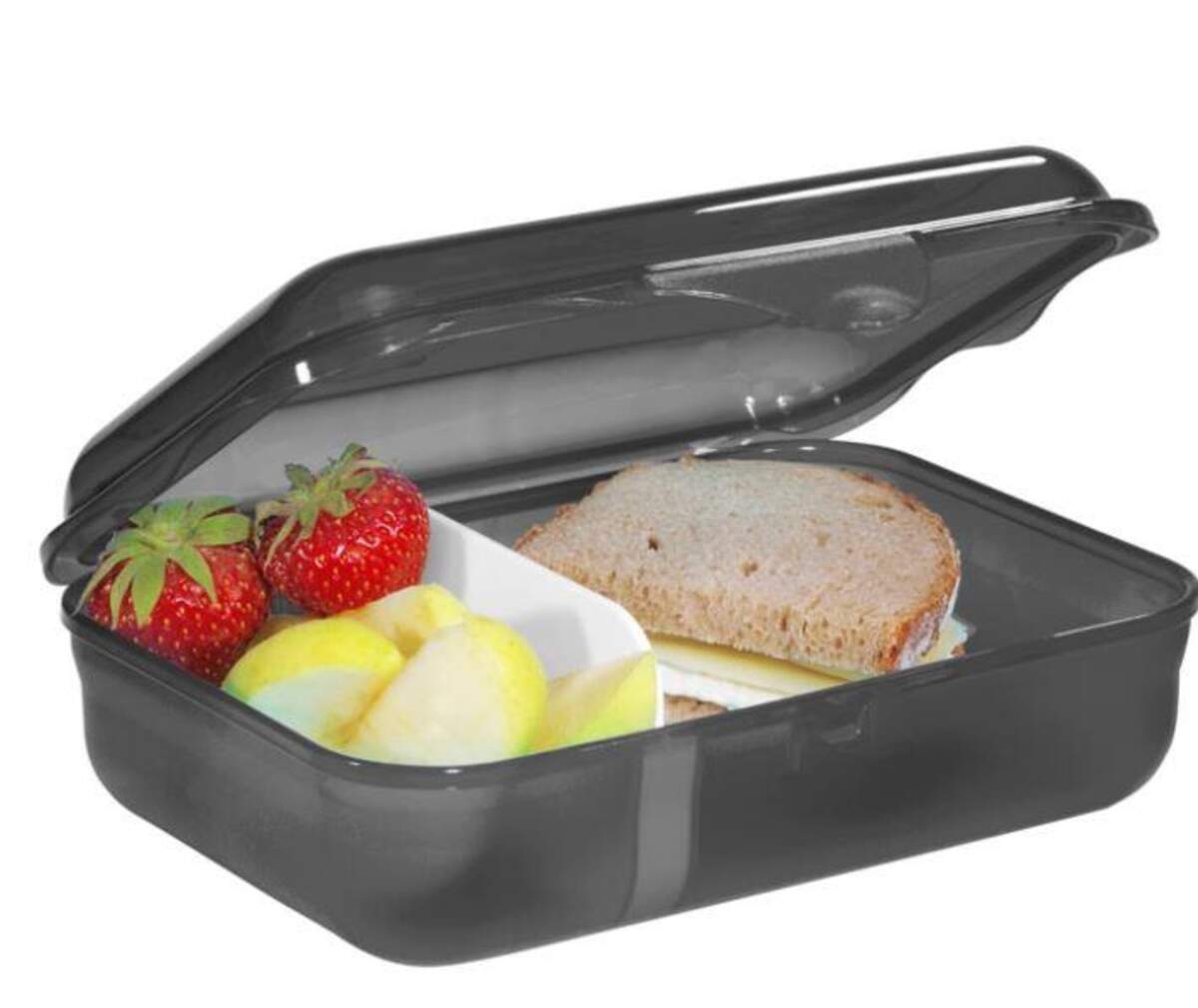 Step by Step Lunchbox mit Trennwand, Dino Life