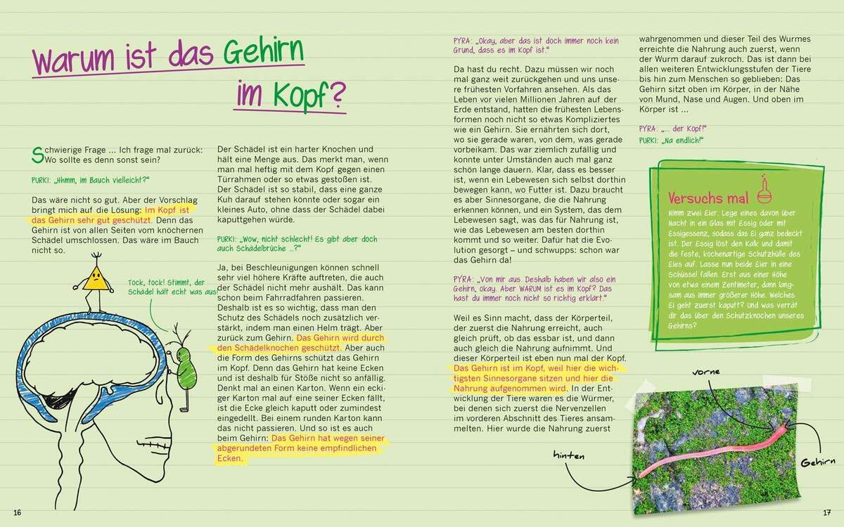 Tessloff Buch Warum graue Zellen auch mal rosa sind