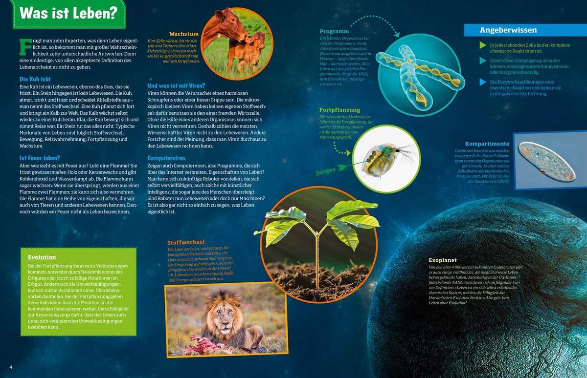 Tessloff Buch Was ist was Abenteuer Evolution