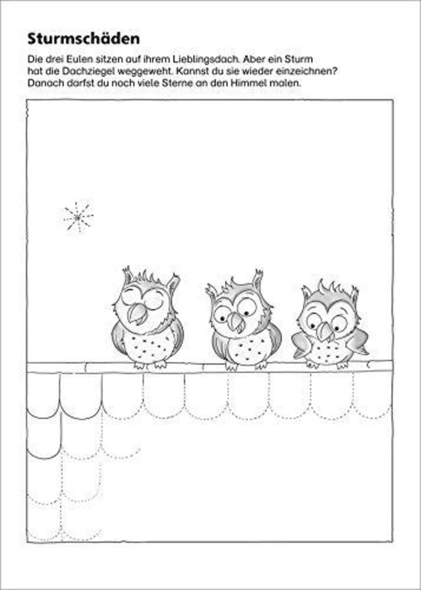 Tessloff LERNSTERN Mein eulenschlaues Vorschulbuch: Üben, was für die Schule wichtig ist