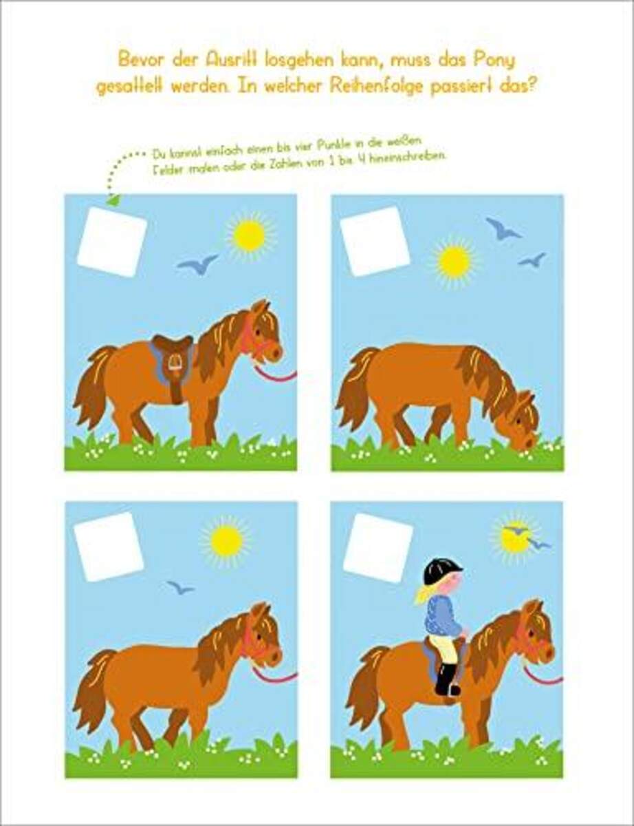 Tessloff Schwungübungen und bunte Rätsel