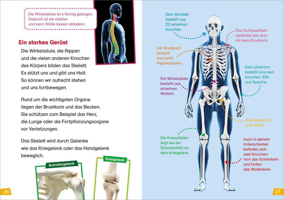 Tessloff WAS IST WAS - Erstes Lesen Band 14: Unser Körper