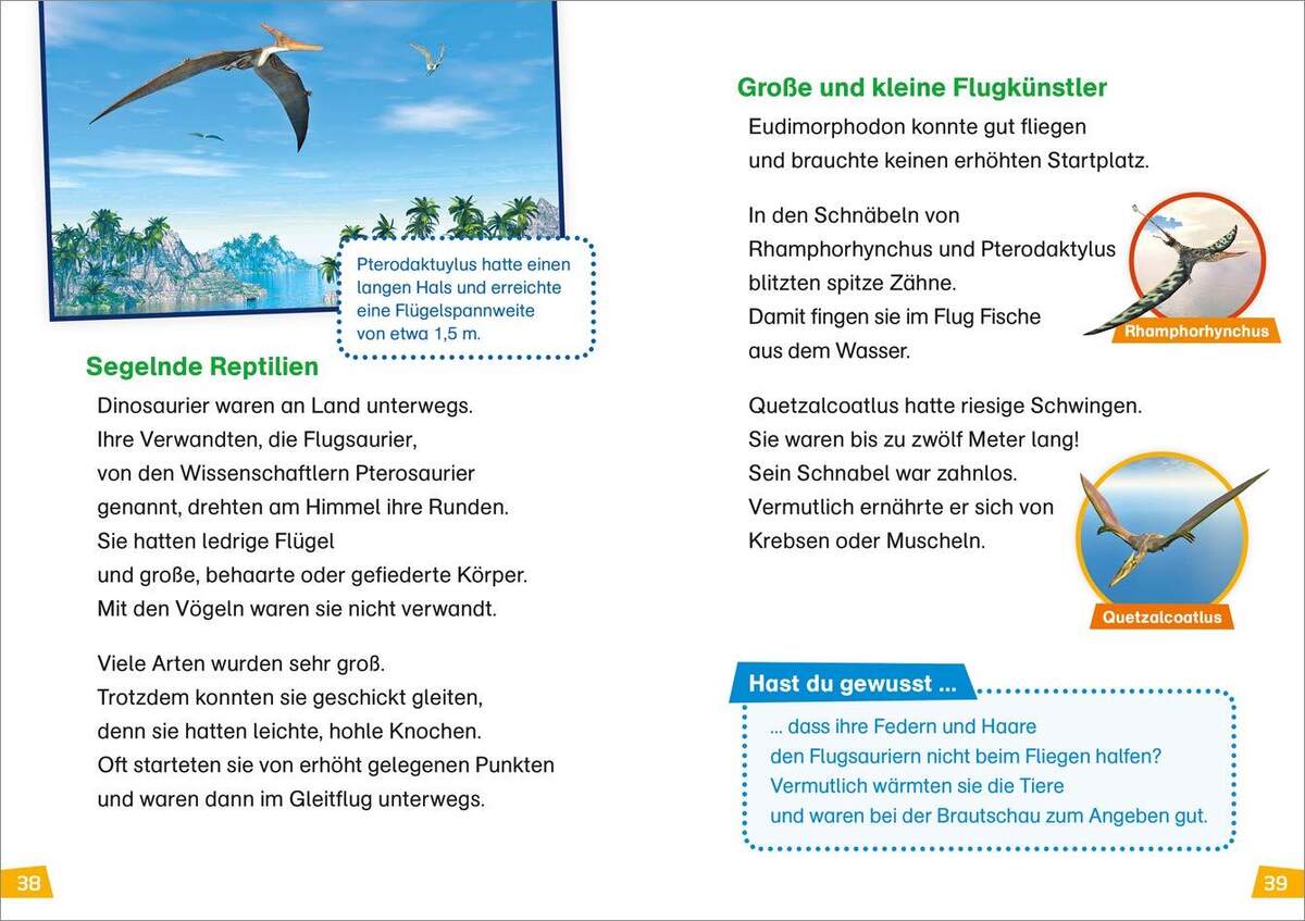 Tessloff WAS IST WAS - Erstes Lesen Band 13: Dinosaurier