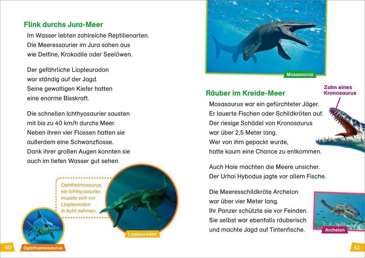 Tessloff WAS IST WAS - Erstes Lesen Band 13: Dinosaurier