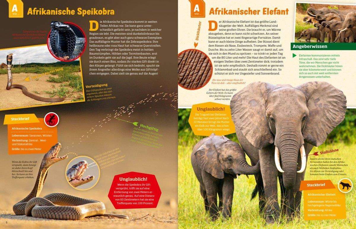 Tessloff WAS IST WAS - Geniale Tiere und ihre Tricks!