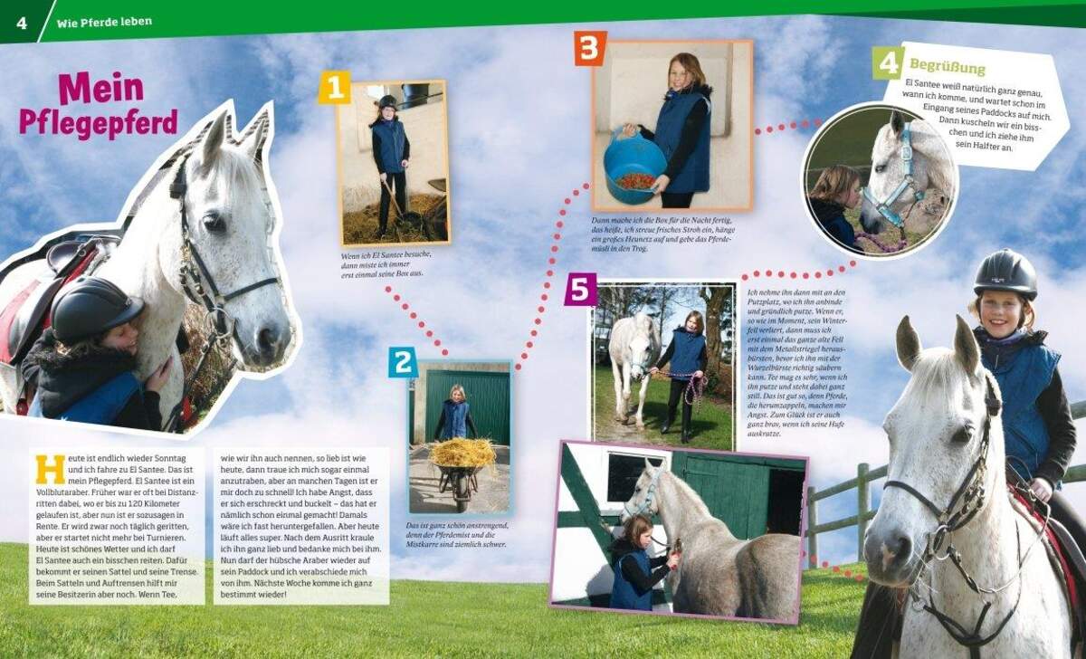 Tessloff WAS IST WAS 27 - Pferde: von frechen Fohlen und wilden Mustangs