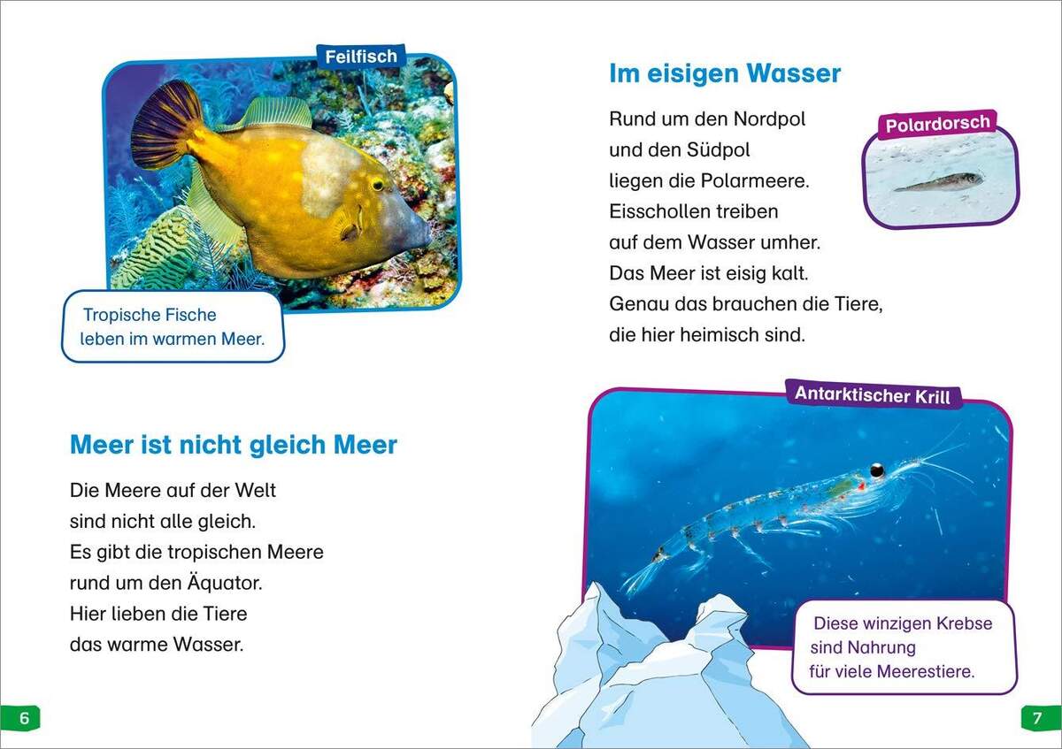 Tessloff WAS IST WAS Erstes Lesen easy! Band 2. Tiere im Meer