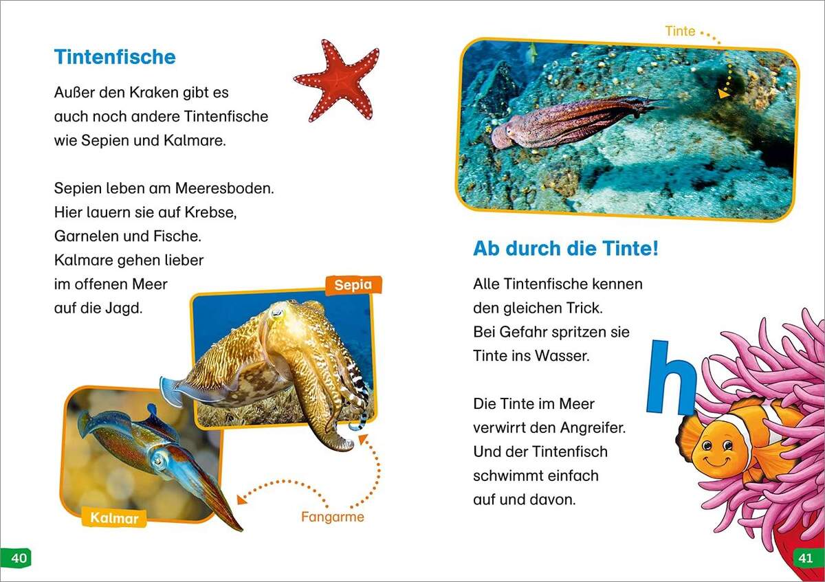 Tessloff WAS IST WAS Erstes Lesen easy! Band 2. Tiere im Meer