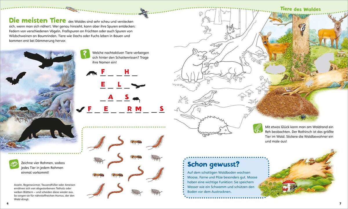 Tessloff WAS IST WAS Junior Mitmach-Heft Natur entdecken