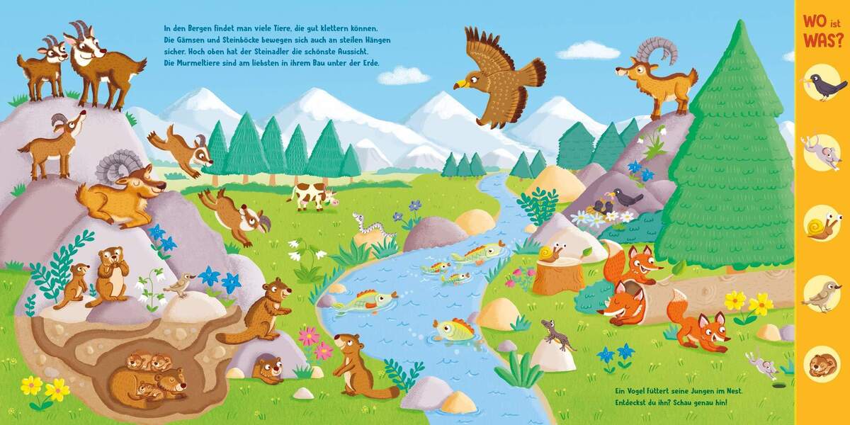 Tessloff WO ist WAS? Kunterbunte Welt der Tiere