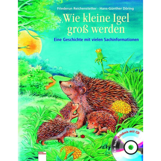 arena-eine-geschichte-mit-vielen-D0E676B31.jpg