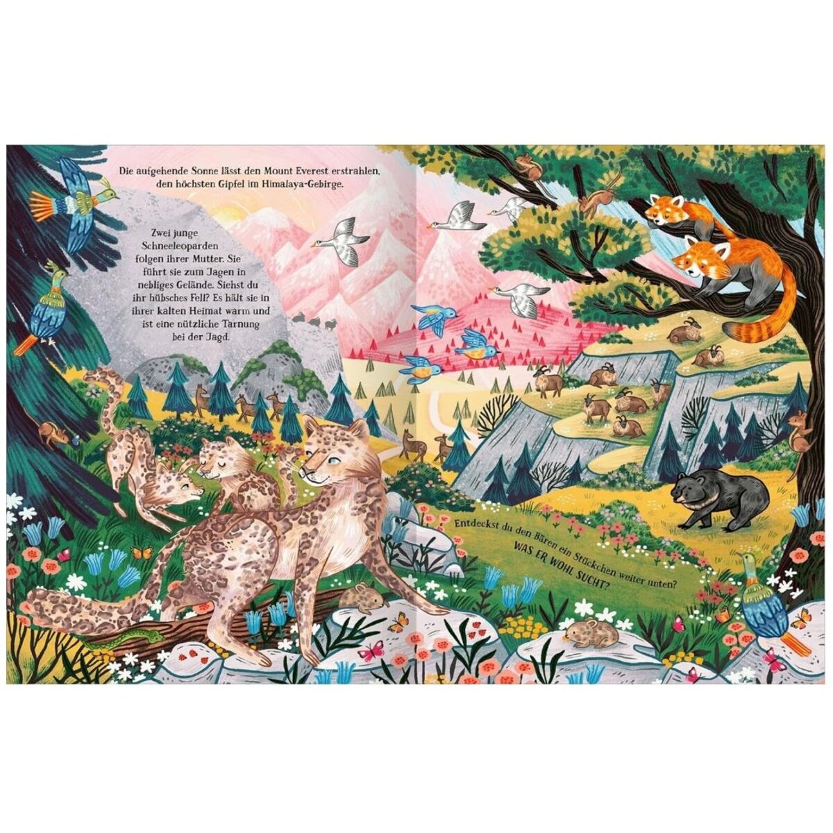 ars Edition Berge voller Wunder: Such- und Wimmelbilderbuch