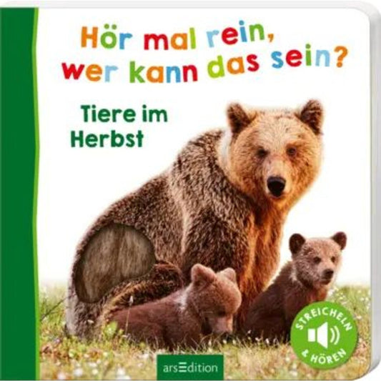 ars-edition-hoer-mal-rein-4B5851841.jpg