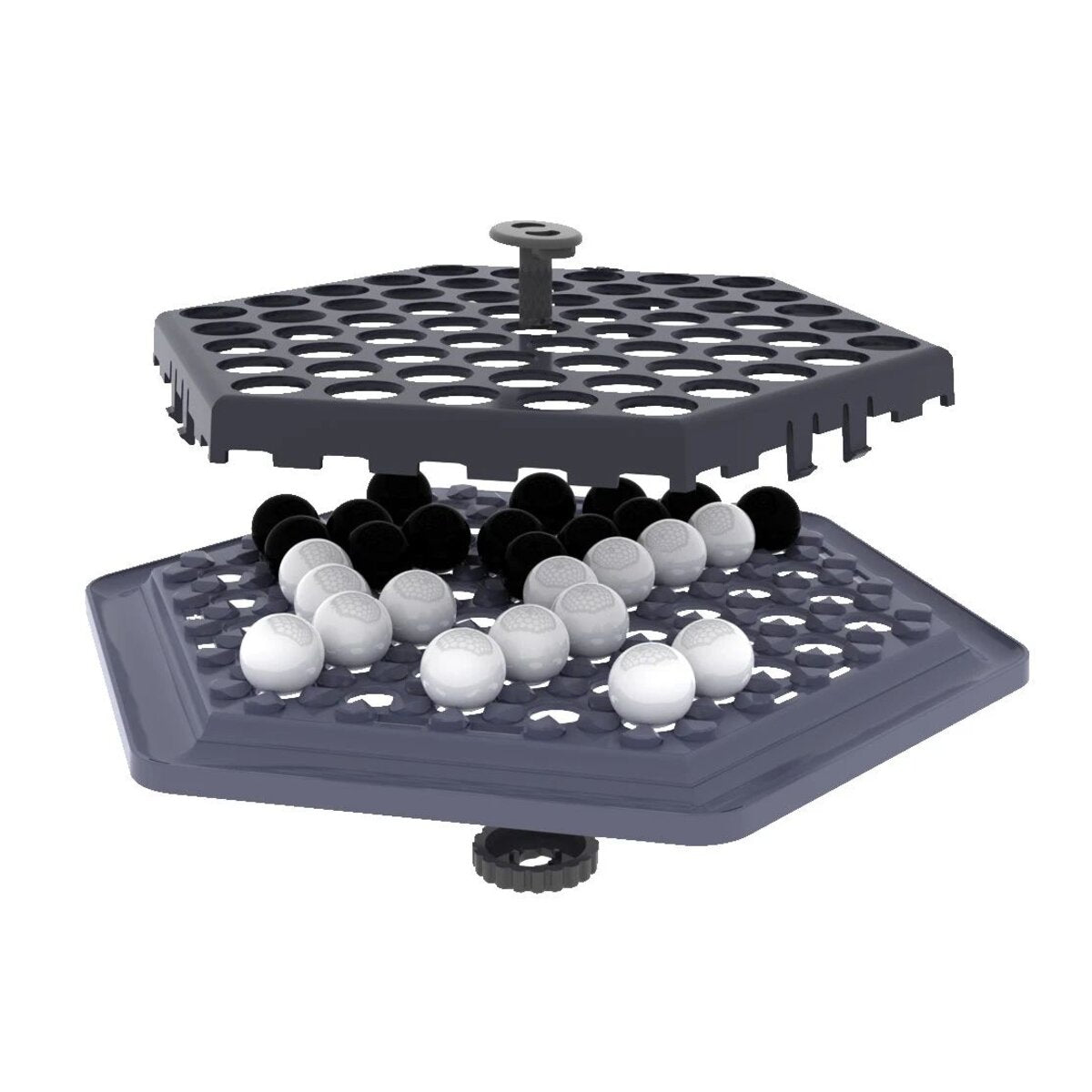 asmodee-zygomatic-abalone-go-B499585E3.jpg