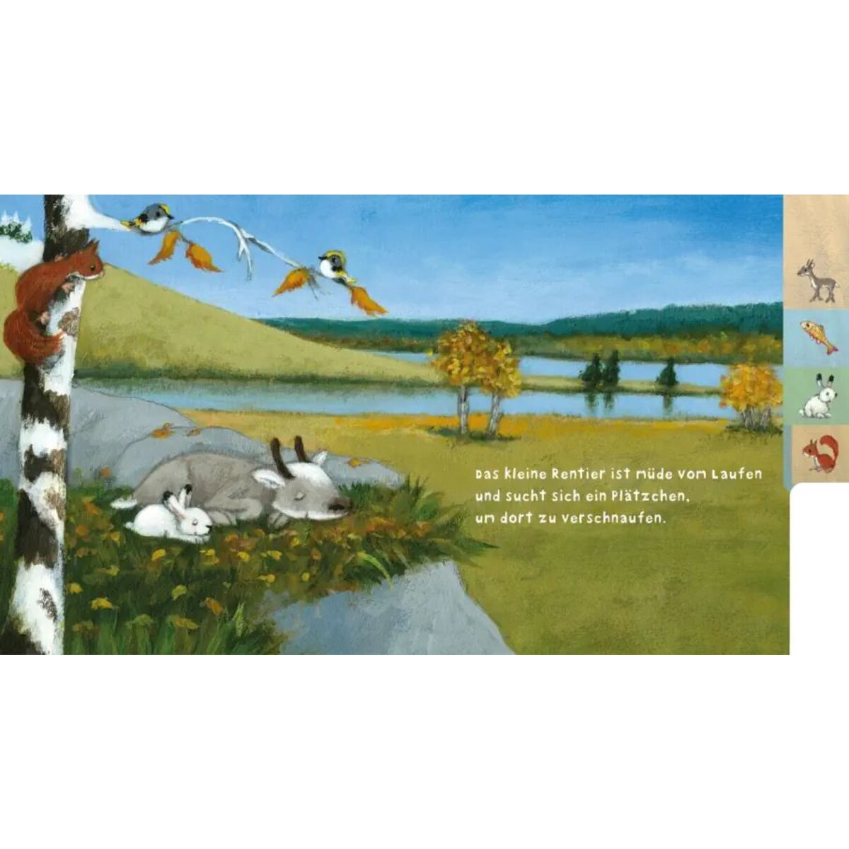 Carlsen Verlag Baby Pixi 122 - Rentier