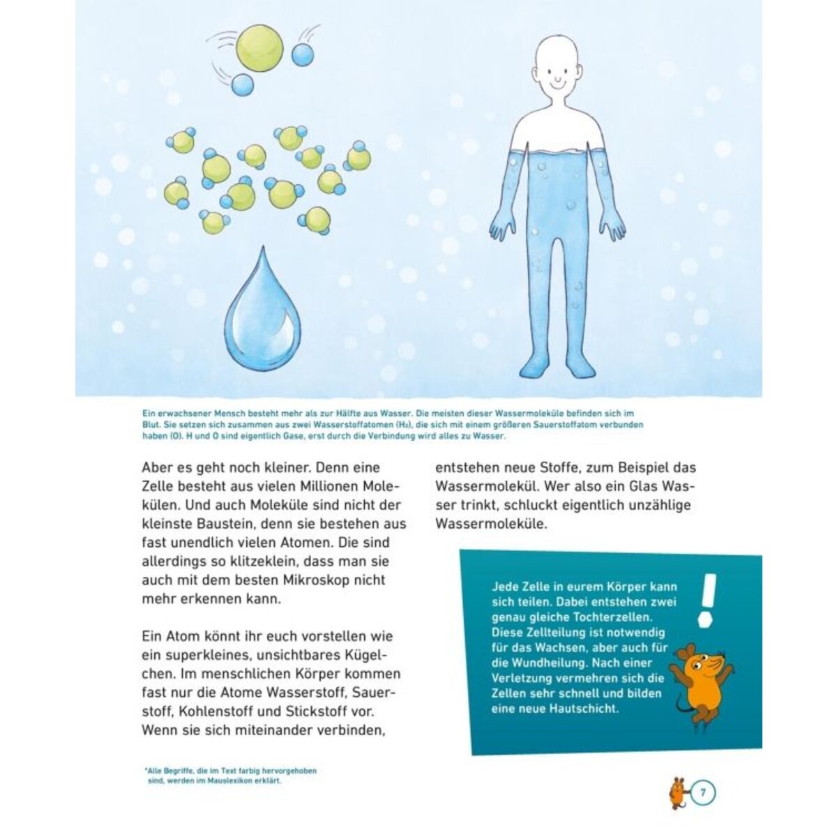 Carlsen Verlag Frag doch mal ... die Maus: Der Mensch