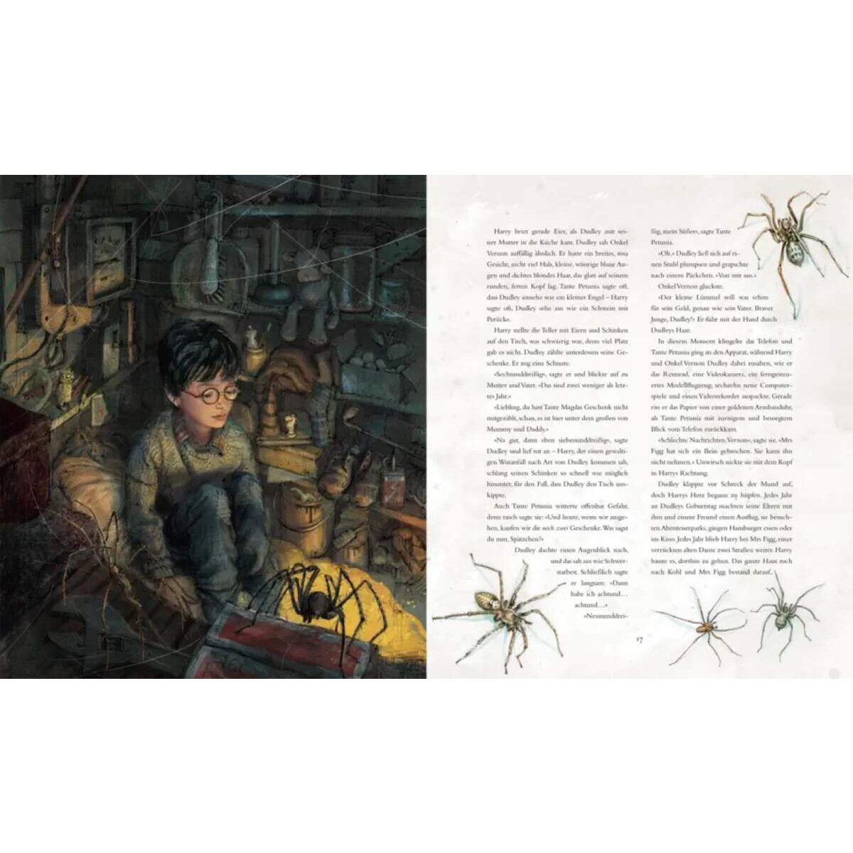 carlsen-verlag-harry-potter-und-76FEAC564.jpg
