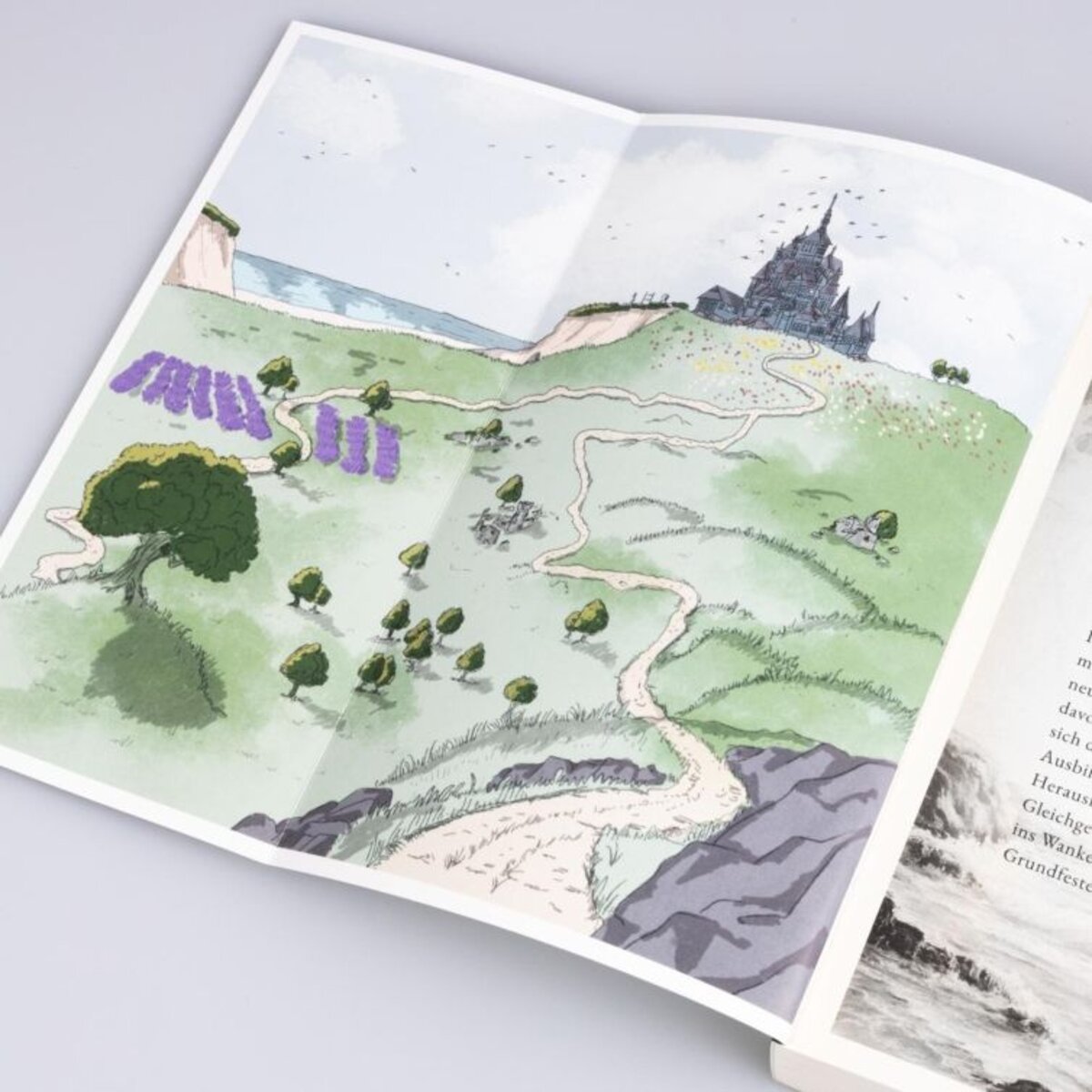 Carlsen Verlag Kuhn, Moonlight Academy. Feenzauber