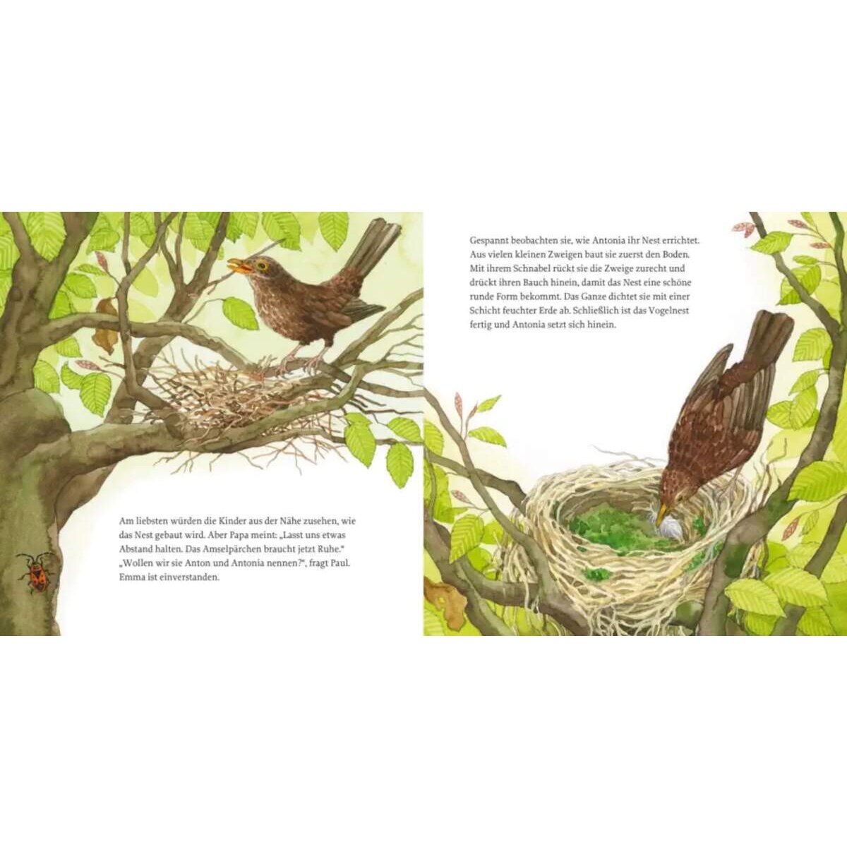 carlsen-verlag-lesemaus-108-das-55E408802.jpg
