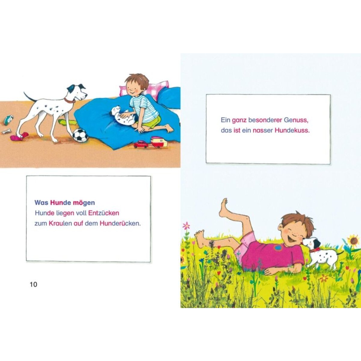 Carlsen Verlag LESEMAUS zum Lesenlernen Sammelbände: Meine liebsten Hunde-Silben-Geschichten