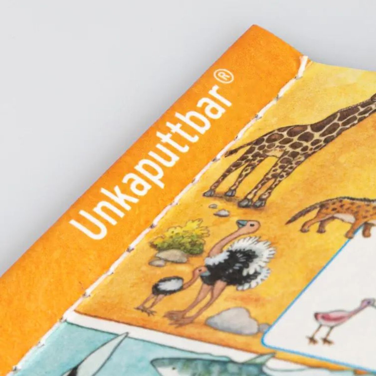 carlsen-verlag-unkaputtbar-mein-erstes-D2DE094C5.jpg