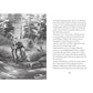 Carlsen Verlag Whisperworld 4: Gefahr im Sumpf