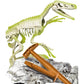 clementoni-ausgrabungs-set-velociraptor-2AD356175.jpg