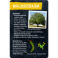 coppenrath-verlag-50-baeume-kennen-DA884B467.jpg