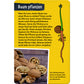 coppenrath-verlag-50-baeume-kennen-DA884B468.jpg