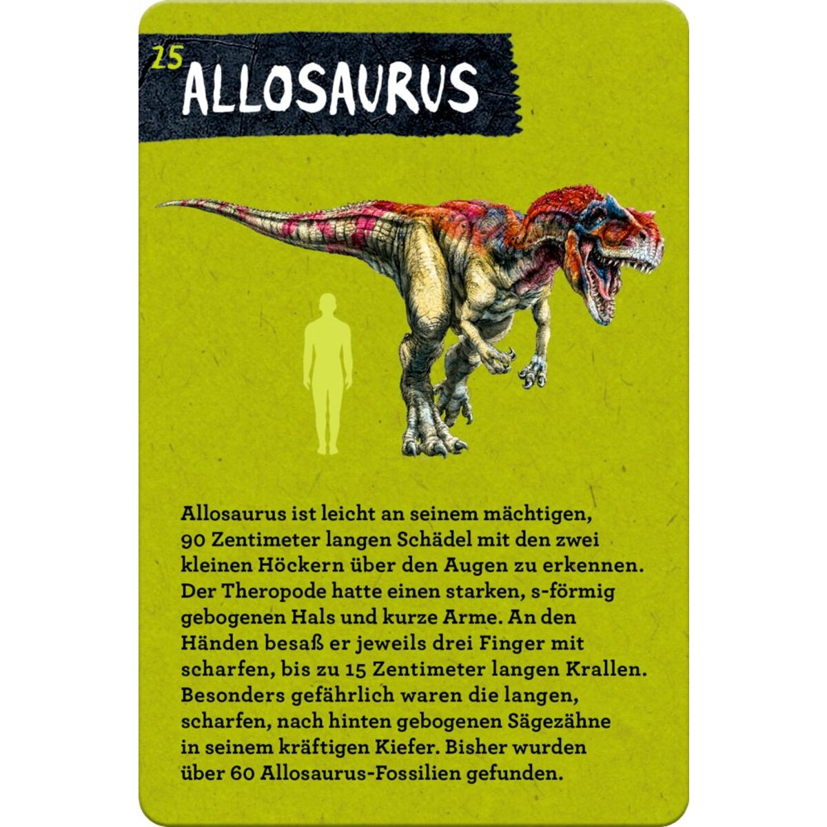 Coppenrath Verlag 50 Dinosaurier (Nature Zoom)