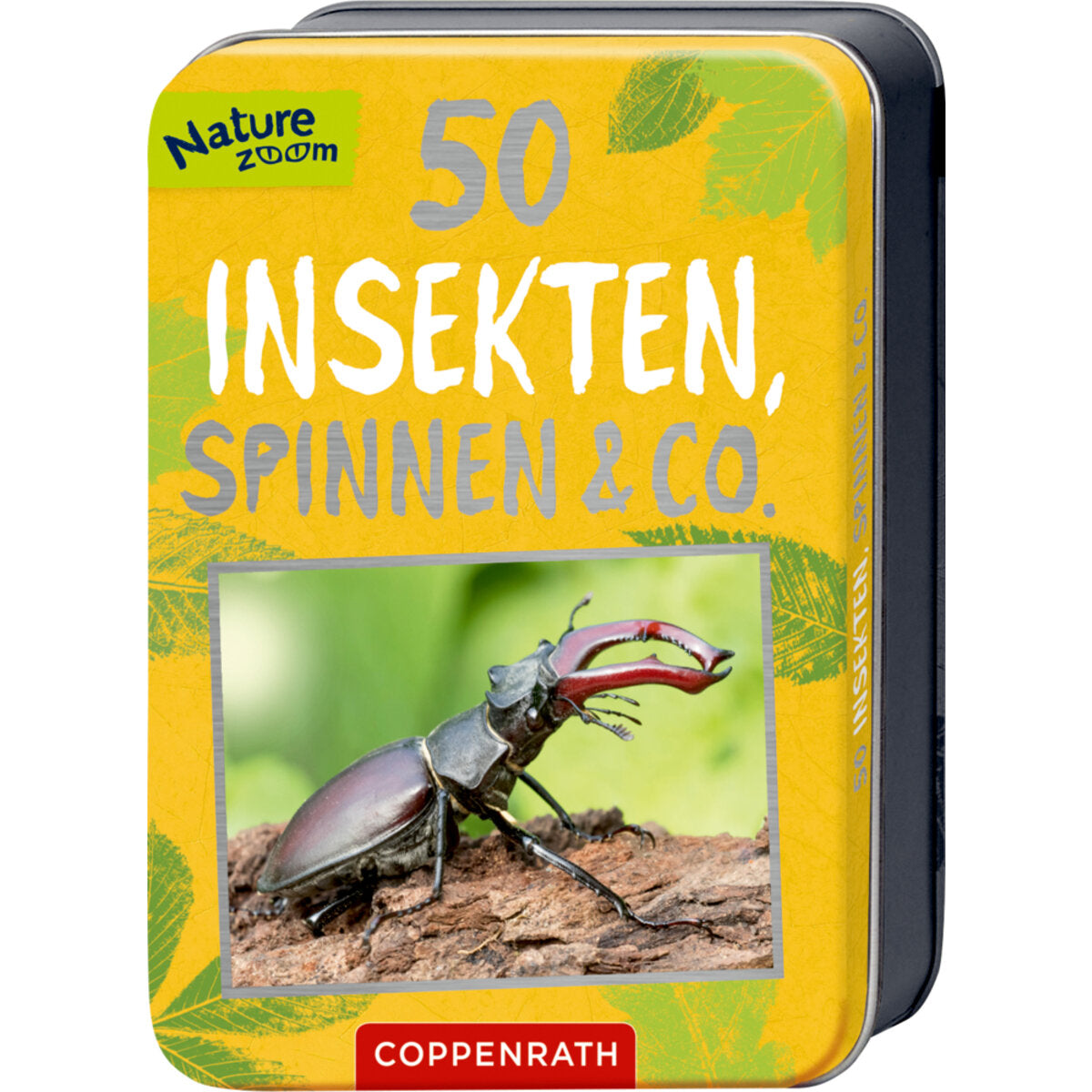 coppenrath-verlag-50-insekten-spinnen-86B682781.jpg