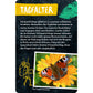 coppenrath-verlag-50-insekten-spinnen-86B682787.jpg
