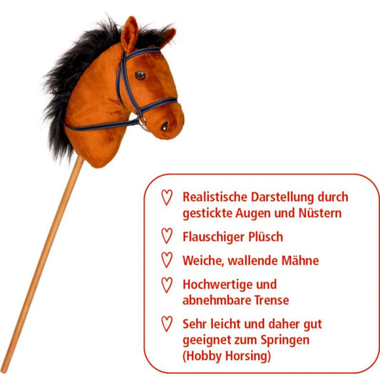 Coppenrath Verlag Steckenpferd Dusty - Pferdefreunde