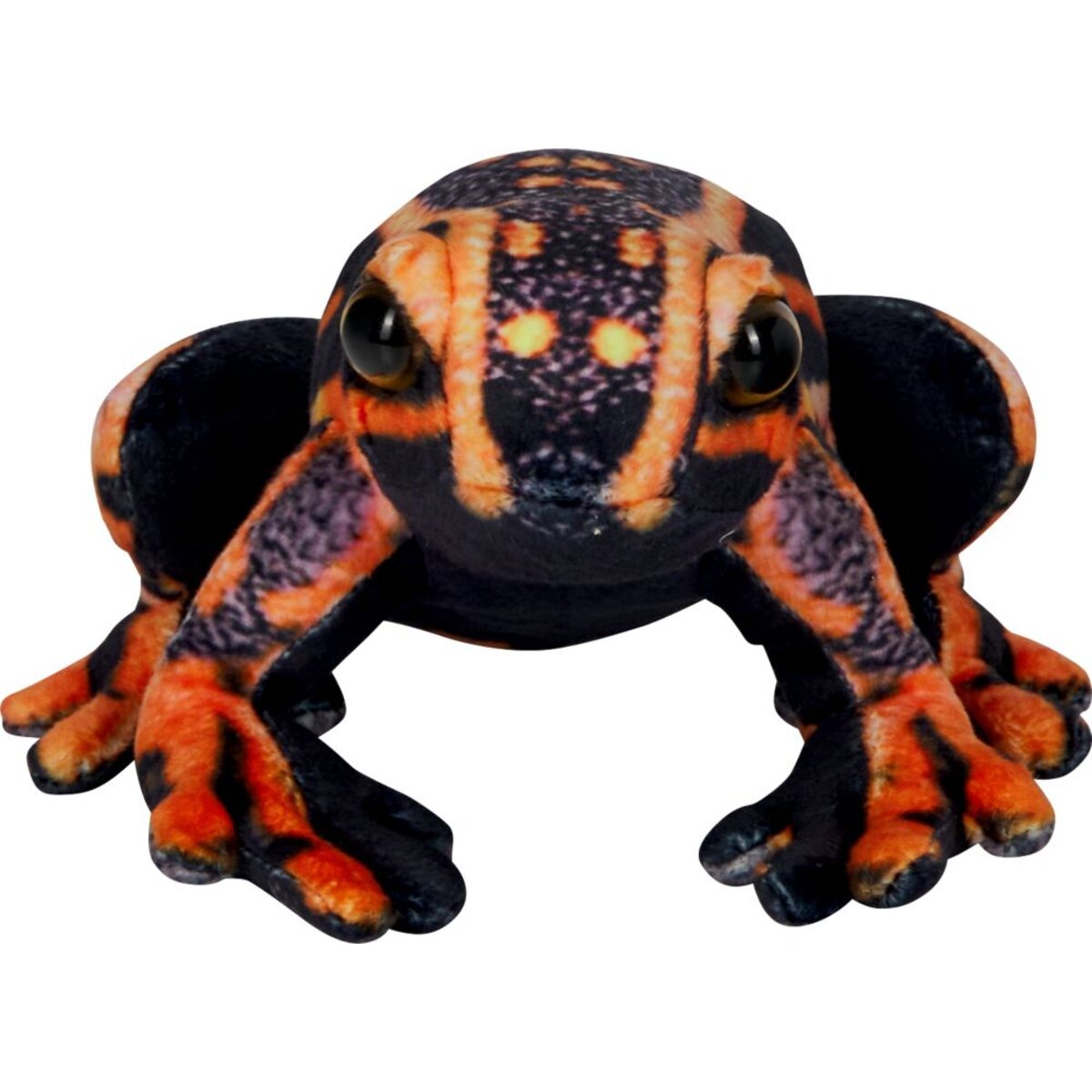 die-spiegelburg-23408-pfeilgiftfrosch-nature-3DBFF26C2.jpg