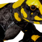 die-spiegelburg-feuersalamander-nature-zoom-EBFBD37F2.jpg