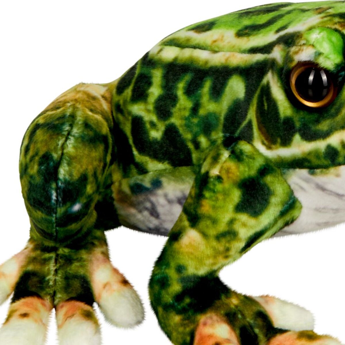 die-spiegelburg-frosch-nature-zoom-91ACF56C2.jpg